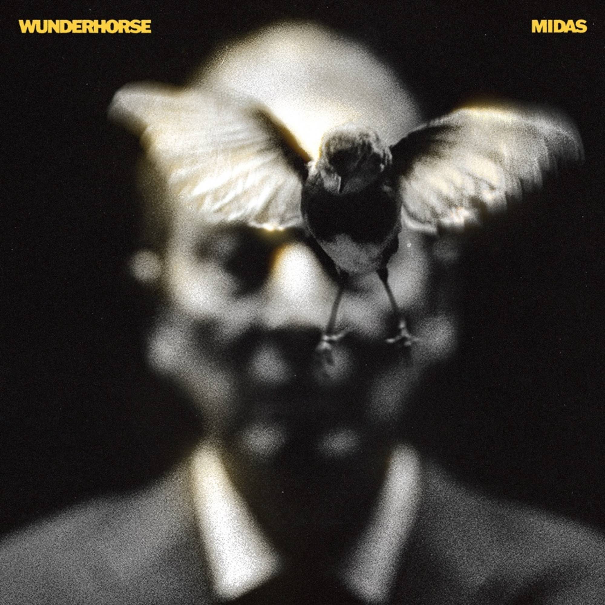 Wunderhorse 'Midas' album artwork. Credit: PRESS