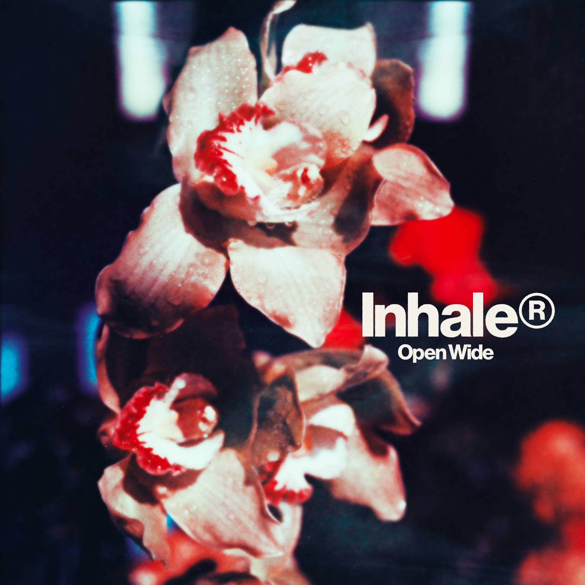 Inhaler 'Open Wide' album artwork. Credit: PRESS