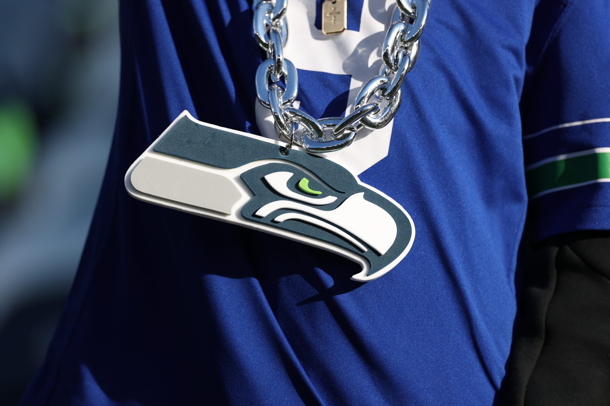 Mogul Worth $277B Is the Likeliest New Seattle Seahawks Owner, According to Current Odds