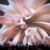MUTEK Montréal Unveils Final 2026 Lineup and Expansive Forum