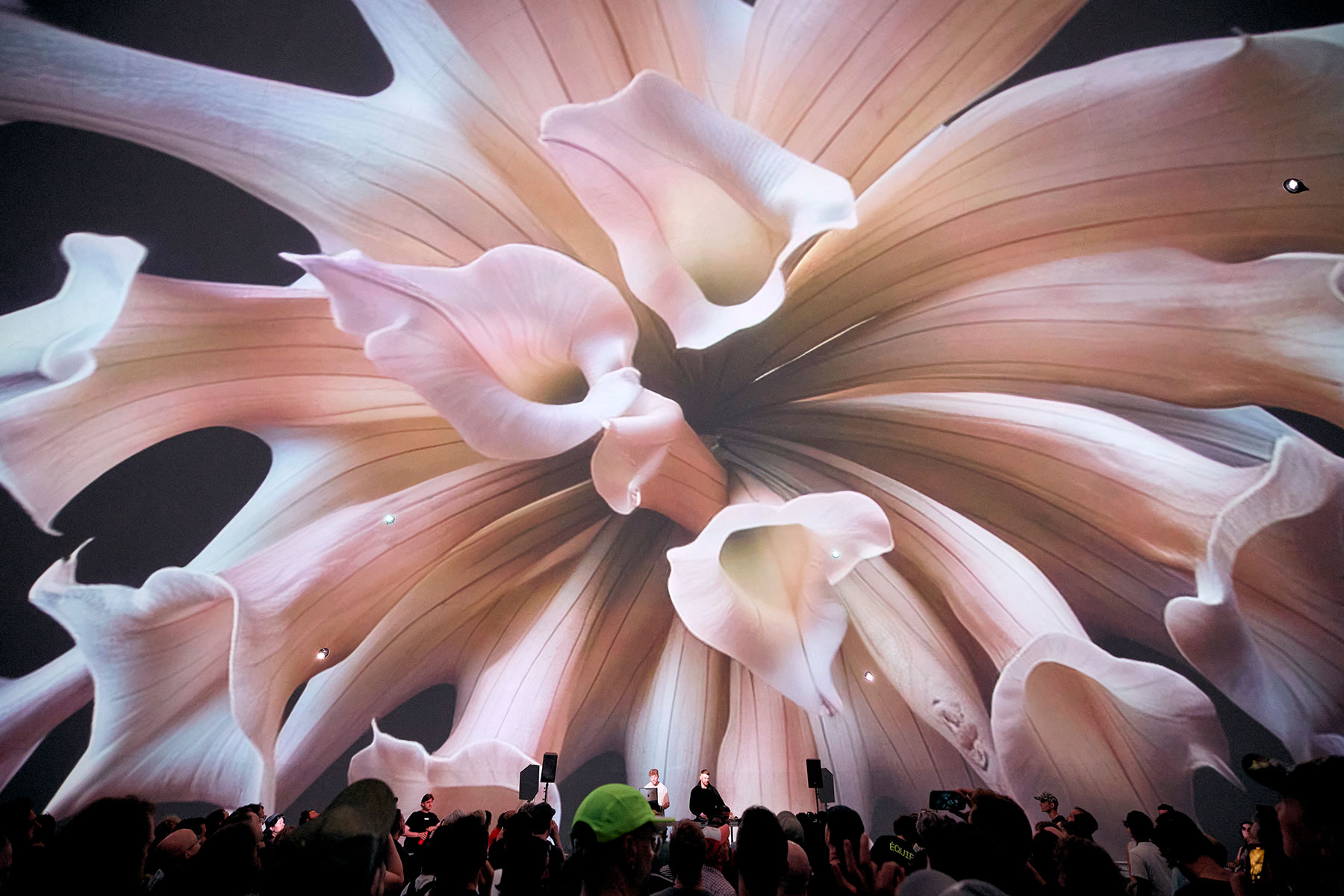 MUTEK Montréal Unveils Final 2026 Lineup and Expansive Forum