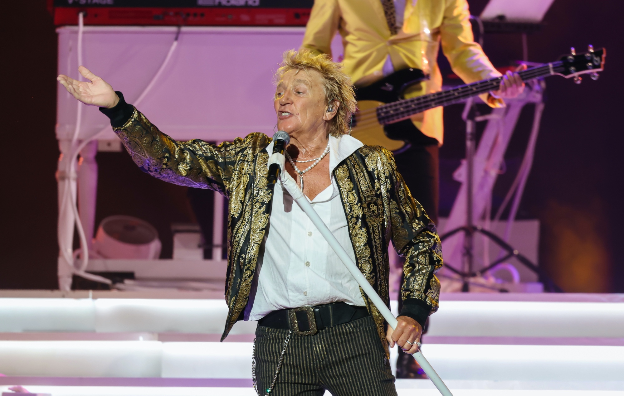 Rod Stewart Postpones US Show Due to Medical Procedure